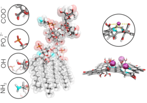 Přečtete si více ze článku Atomární antibiotika vyvinutá českými vědci dokáží čelit rezistenci bakterií